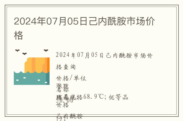 2024年07月05日己内酰胺市场价格