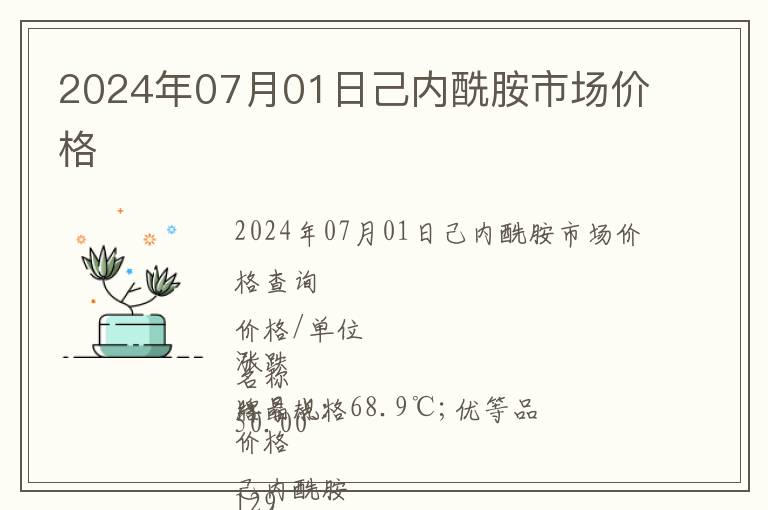 2024年07月01日己内酰胺市场价格