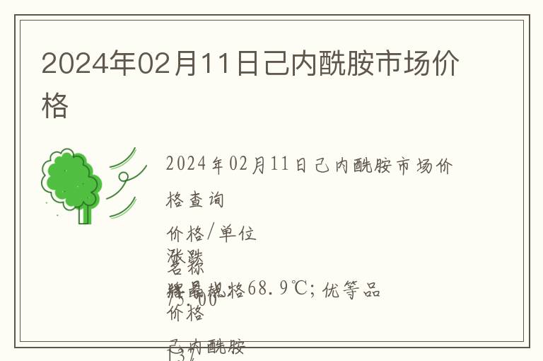 2024年02月11日己内酰胺市场价格