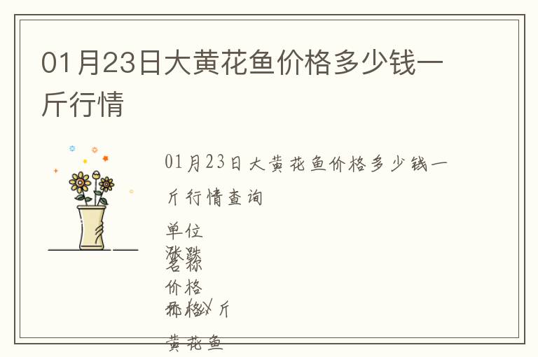 01月23日大黄花鱼价格多少钱一斤行情