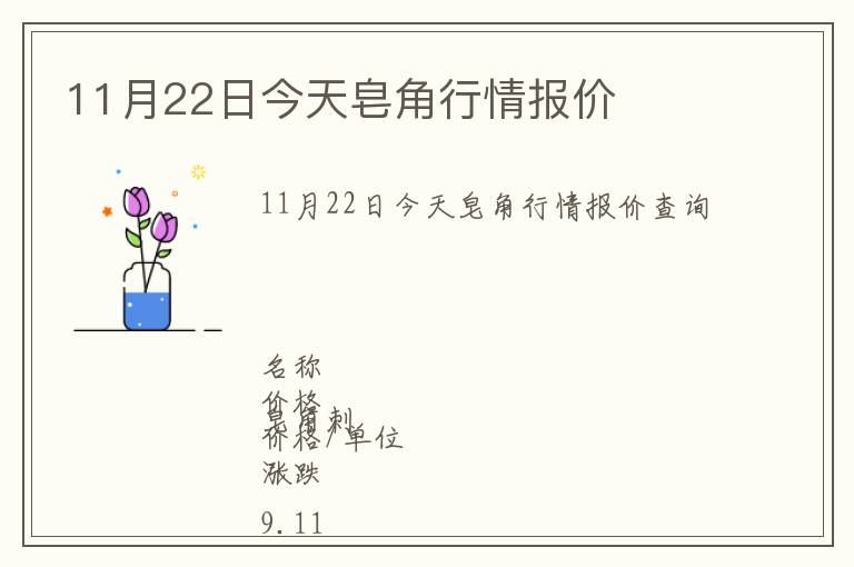 11月22日今天皂角行情报价