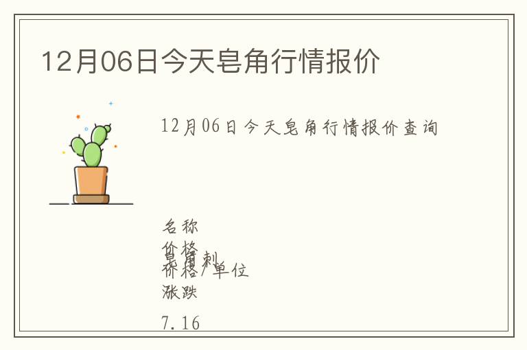 12月06日今天皂角行情报价